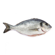 Guldsparid (Tsipoura) GREKISK 400-600g (Pris per kg) OBS! Fryst!